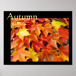 Najaars poster prints Herfst Kunst Kleurrijke blad
