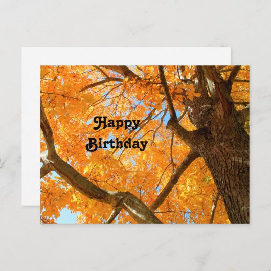 Najaars Yellow Maple Tree Fothday Briefkaart (Voorkant / Achterkant)