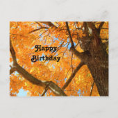 Najaars Yellow Maple Tree Fothday Briefkaart (Voorkant)