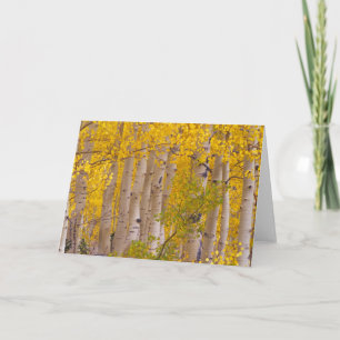 Najaarsasten in Kebler Pass in Colorado. Kaart