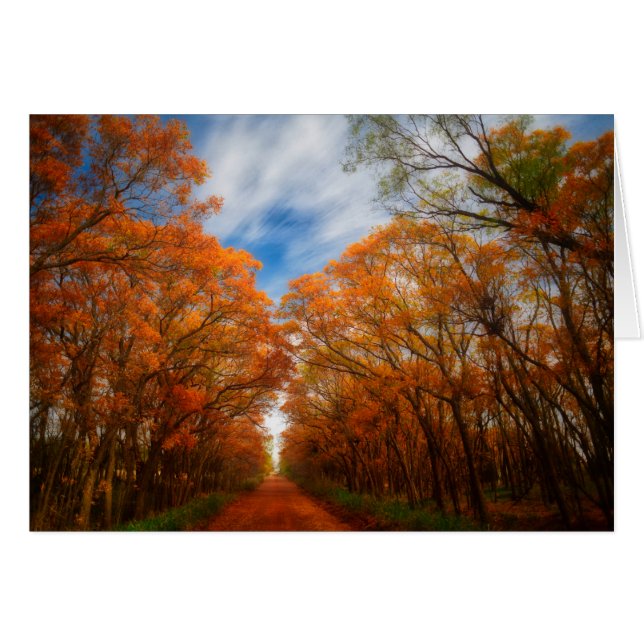 Najaarsbijeenkomst (Voorkant Horizontaal)