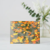 Najaarsbladeren in de regen briefkaart (Staand voorkant)