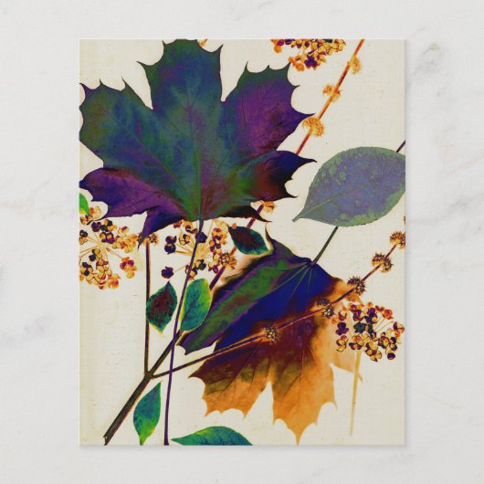 Najaarsbladeren in Royal Colors Flyer (Voorkant)