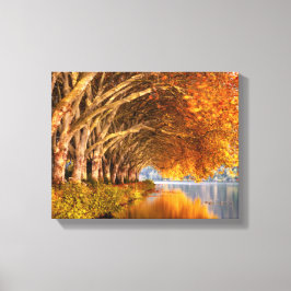 Najaarsbomen boven een meer canvas afdruk