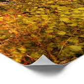 Najaarsbomen boven een meer poster (Hoek)