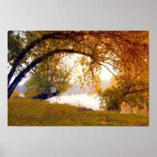 Najaarsbomen Poster Misty Lake