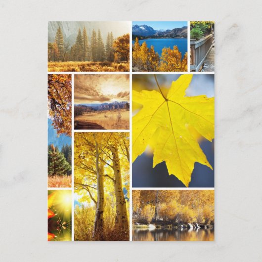 Najaarscollage Briefkaart (Voorkant)