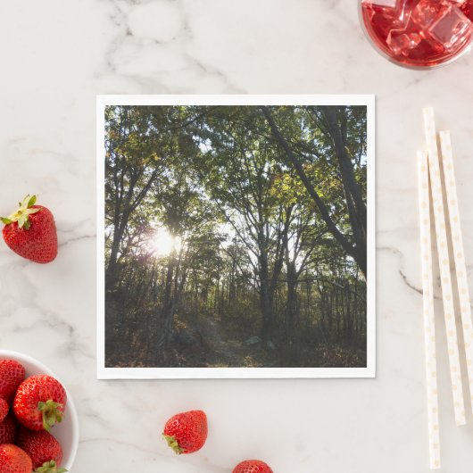 Najaarsdag in het Nationaal Park Shenandoah Servetten (Insitu)