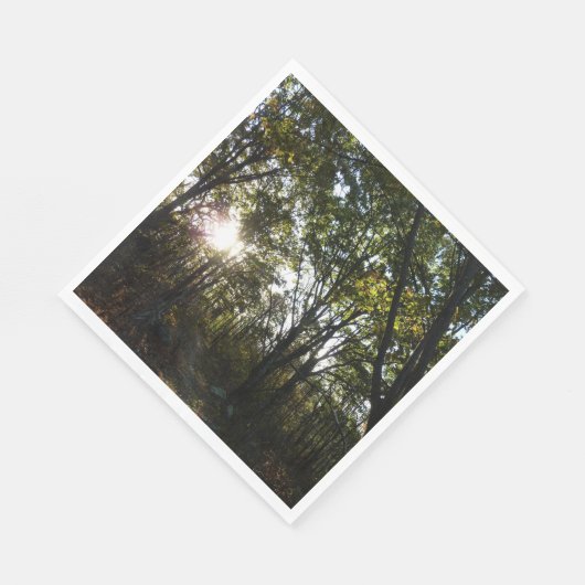 Najaarsdag in het Nationaal Park Shenandoah Servetten (Hoek)