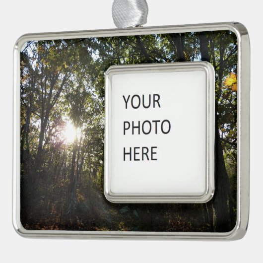 Najaarsdag in het Nationaal Park Shenandoah Verzilverd Kader Ornament (Links)