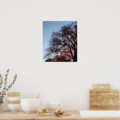 Najaarse bomen Herfst Poster (Keuken)
