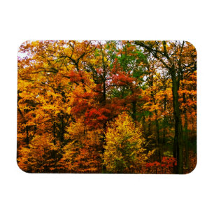 Najaarse Oranje bomen Magneet