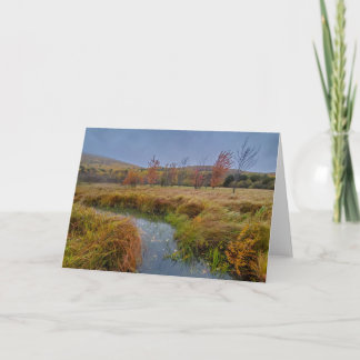 Najaarskleur in het nationaal park Acadia Kaart