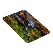 Najaarskleur langs Starvation Creek Herfsten Magneet (Rechterzijde)