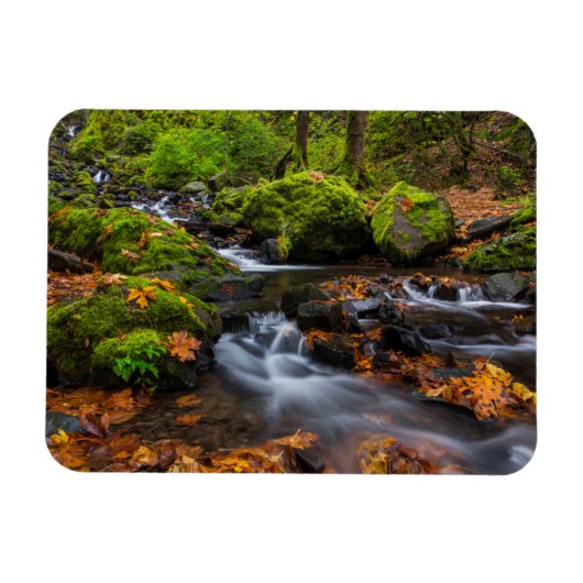 Najaarskleur langs Starvation Creek Herfsten Magneet (Horizontaal)