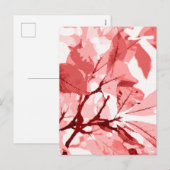 Najaarskleuren, bladeren 3 feestdagenkaart (Voorkant / Achterkant)