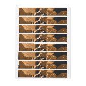 Najaarskleuren, bladeren 6 (Vel)