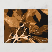 Najaarskleuren, bladeren 6 briefkaart (Achterkant)