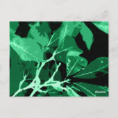 Najaarskleuren, bladeren 7 briefkaart (Achterkant)