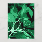 Najaarskleuren, bladeren 7 briefkaart (Voorkant)