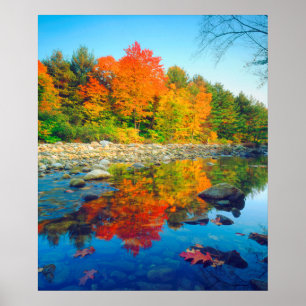 Najaarskleuren die in een stroom in Vermont reflec Poster