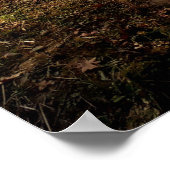 Najaarskleuren op het platteland poster (Hoek)