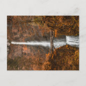 Najaarskleuren op Multnomah-Herfsten Briefkaart (Voorkant)