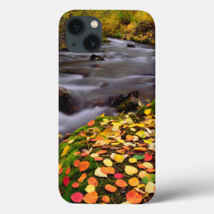 Najaarskleuren van McGee Creek iPhone 13 Hoesje