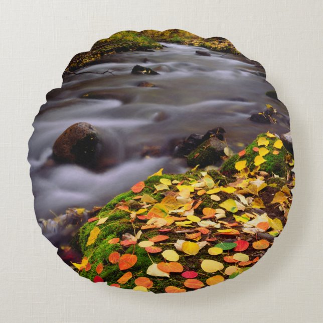 Najaarskleuren van McGee Creek Rond Kussen (Voorkant)