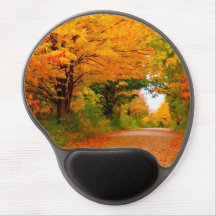 Najaarslandschap van bomen in plattelandsgebieden