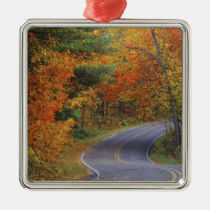 Najaarslijn in het Italiaanse natuurpark Itasca Metalen Ornament