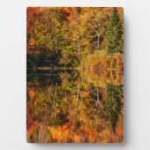 Najaarsreflectie op Coffin Pond Fotoplaat (voorkant)