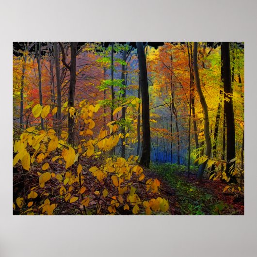 Najaarsregen, poster (Voorkant)