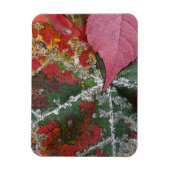 najaarsrust magneet (Verticaal)