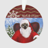 Nalah Paws Ornament (voorkant)