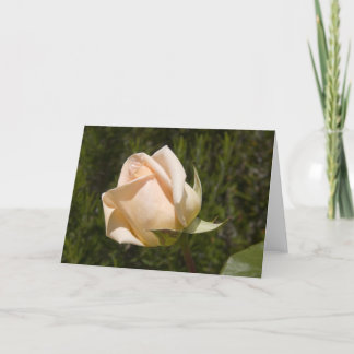 Nam de spatie van de groetenkaart toe kaart