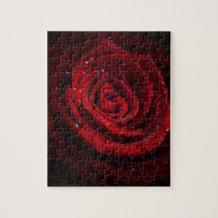 Nam het Lot van de Liefde van de Vrede van de Bloe Legpuzzel