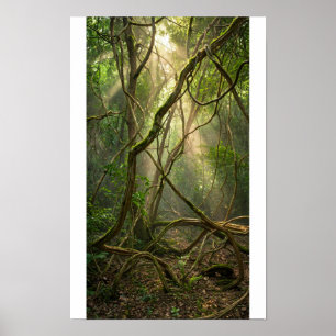 Namal Uyana Mystieke Bos Golfballen - IJzerhout Poster
