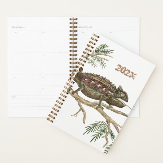 Namaqua chameleon Lizard Reptile Gecko Jigsaw (Devant avec enveloppe)