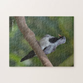 Namaqua Pigeon / Dove in the Tree Legpuzzel (Horizontaal)