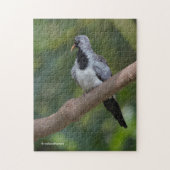 Namaqua Pigeon / Dove in the Tree Legpuzzel (Verticaal)