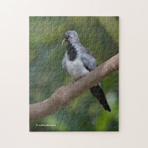Namaqua Pigeon / Dove in the Tree Legpuzzel