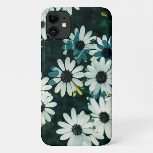 Namaqualand Fleurs iPhone 11 Coque (Dos)