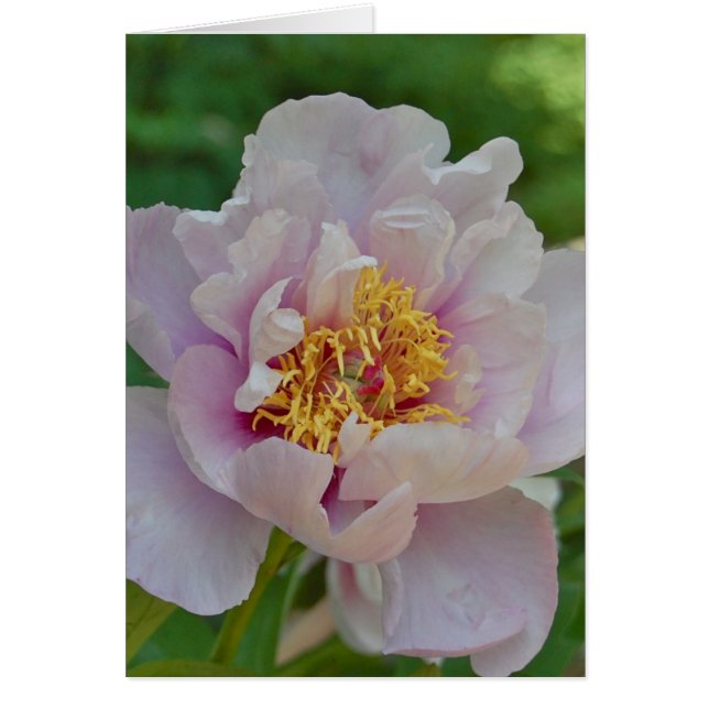 Namen en schurken (Voorkant)