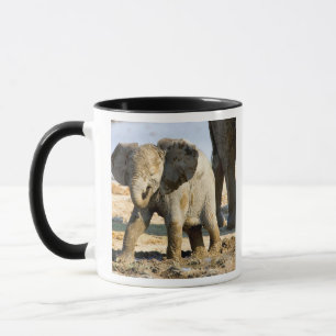 Namibië, Afrika: Baby Afrikaanse Olifant Mok