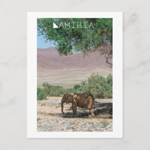 Namibië Afrika Huab Elephant Damaraland Briefkaart