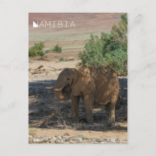 Namibië Afrika Huab Elephant Damaraland Briefkaart
