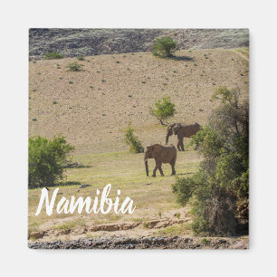 Namibië Afrika Huab Elephant Damaraland Magneet