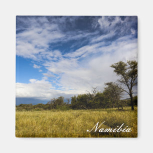 Namibië Afrika Landschap Namibische Natuur Bushvel Magneet