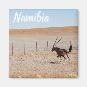 Namibië Afrika Landschap Namibische woestijnoryx Magneet